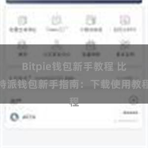 Bitpie钱包新手教程 比特派钱包新手指南：下载使用教程