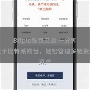 Bitpie钱包交易 一分钟上手比特派钱包，轻松管理多链资产