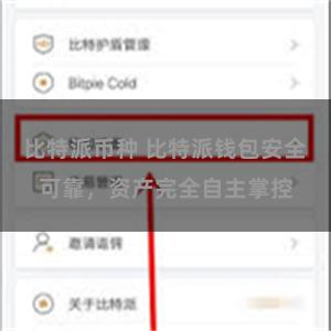 比特派币种 比特派钱包安全可靠，资产完全自主掌控