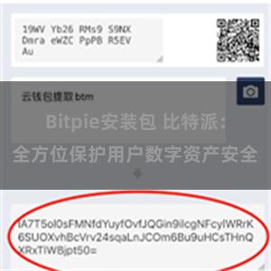 Bitpie安装包 比特派：全方位保护用户数字资产安全