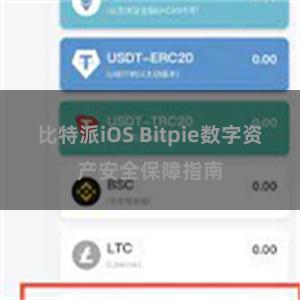 比特派iOS Bitpie数字资产安全保障指南