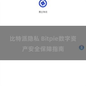 比特派隐私 Bitpie数字资产安全保障指南