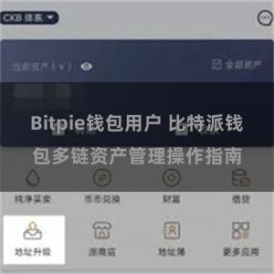 Bitpie钱包用户 比特派钱包多链资产管理操作指南