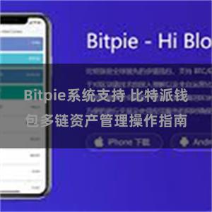 Bitpie系统支持 比特派钱包多链资产管理操作指南