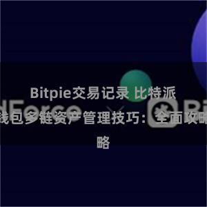 Bitpie交易记录 比特派钱包多链资产管理技巧：全面攻略