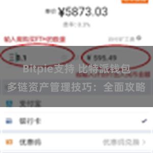 Bitpie支持 比特派钱包多链资产管理技巧：全面攻略