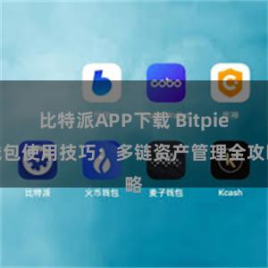 比特派APP下载 Bitpie钱包使用技巧：多链资产管理全攻略