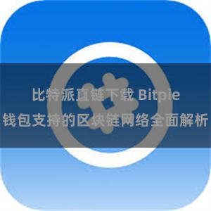 比特派直链下载 Bitpie钱包支持的区块链网络全面解析