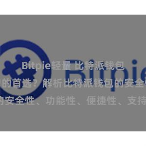 Bitpie轻量 比特派钱包为何是专业用户的首选？解析比特派钱包的安全性、功能性、便捷性、支持性等优势。