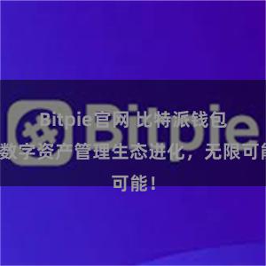 Bitpie官网 比特派钱包：数字资产管理生态进化，无限可能！