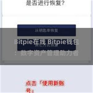 Bitpie在线 Bitpie钱包：数字资产管理助力者