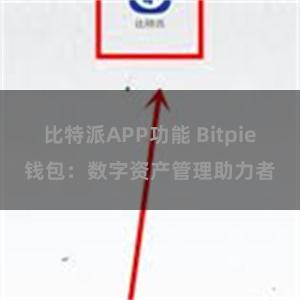 比特派APP功能 Bitpie钱包：数字资产管理助力者