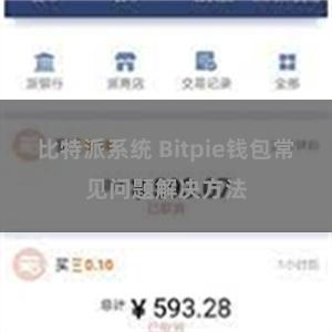 比特派系统 Bitpie钱包常见问题解决方法