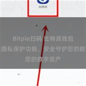 Bitpie扫码 比特派钱包：强大隐私保护功能，安全守护您的数字资产