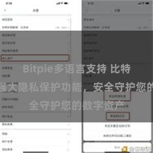 Bitpie多语言支持 比特派钱包：强大隐私保护功能，安全守护您的数字资产