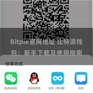 Bitpie官网地址 比特派钱包：新手下载及使用指南