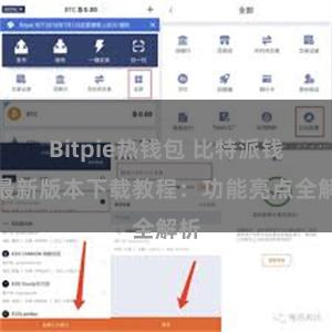 Bitpie热钱包 比特派钱包最新版本下载教程：功能亮点全解析