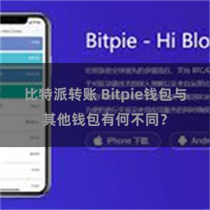 比特派转账 Bitpie钱包与其他钱包有何不同？