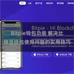 Bitpie钱包功能 解决比特派钱包使用问题的实用技巧