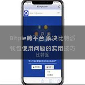 Bitpie跨平台 解决比特派钱包使用问题的实用技巧