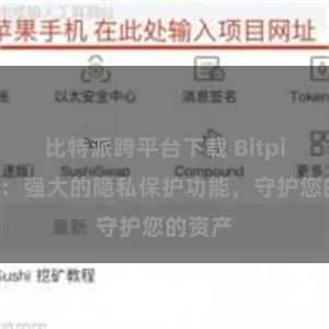 比特派跨平台下载 Bitpie钱包：强大的隐私保护功能，守护您的资产