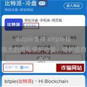 Bitpie支持 Bitpie钱包：强大的隐私保护功能，守护您的资产