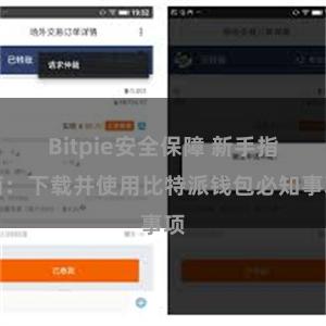 Bitpie安全保障 新手指南：下载并使用比特派钱包必知事项