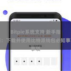 Bitpie系统支持 新手指南：下载并使用比特派钱包必知事项