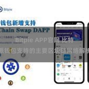 Bitpie APP官网 比特派钱包支持的主要区块链网络解析