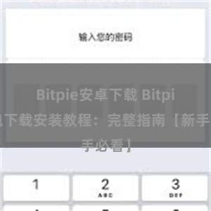 Bitpie安卓下载 Bitpie钱包下载安装教程：完整指南【新手必看】