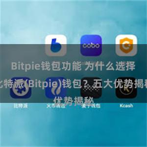 Bitpie钱包功能 为什么选择比特派(Bitpie)钱包？五大优势揭秘