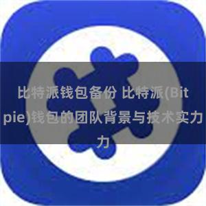 比特派钱包备份 比特派(Bitpie)钱包的团队背景与技术实力