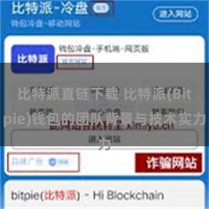 比特派直链下载 比特派(Bitpie)钱包的团队背景与技术实力