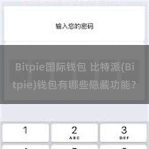 Bitpie国际钱包 比特派(Bitpie)钱包有哪些隐藏功能？