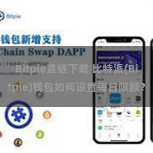 Bitpie直链下载 比特派(Bitpie)钱包如何设置每日限额？