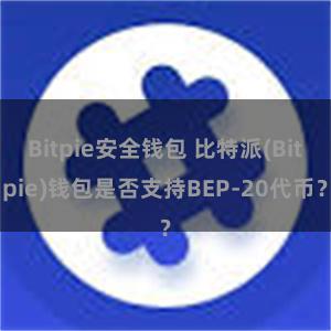 Bitpie安全钱包 比特派(Bitpie)钱包是否支持BEP-20代币？