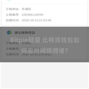 Bitpie轻量 比特派钱包如何应对网络拥堵？