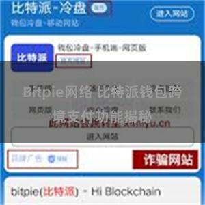 Bitpie网络 比特派钱包跨境支付功能揭秘