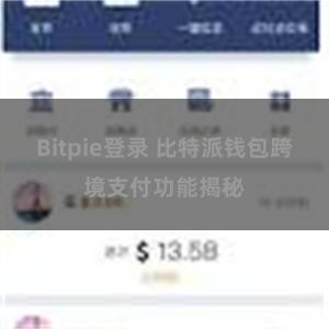 Bitpie登录 比特派钱包跨境支付功能揭秘