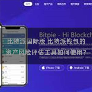 比特派国际版 比特派钱包的资产风险评估工具如何使用？