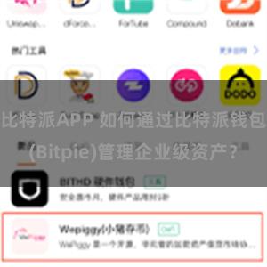 比特派APP 如何通过比特派钱包(Bitpie)管理企业级资产？