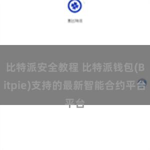 比特派安全教程 比特派钱包(Bitpie)支持的最新智能合约平台