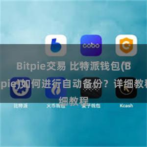 Bitpie交易 比特派钱包(Bitpie)如何进行自动备份？详细教程
