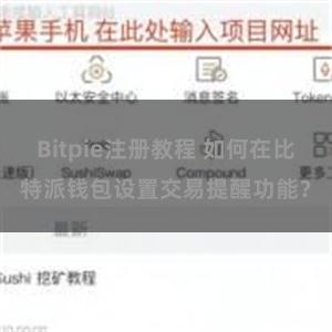 Bitpie注册教程 如何在比特派钱包设置交易提醒功能？