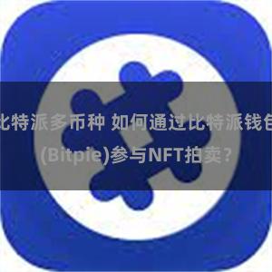 比特派多币种 如何通过比特派钱包(Bitpie)参与NFT拍卖？