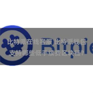 比特派在线客服 比特派钱包支持哪些低手续费区块链？