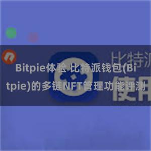Bitpie体验 比特派钱包(Bitpie)的多链NFT管理功能评测